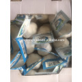 Reiner weißer Knoblauch 100g * 20 / Karton China Jinxiang frischer Knoblauch